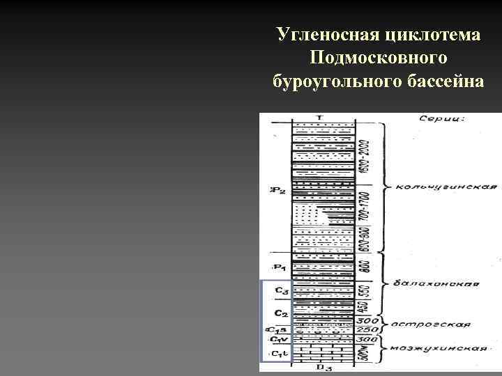 Угленосная циклотема Подмосковного буроугольного бассейна 