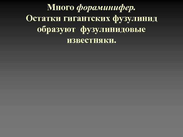   Много фораминифер. Остатки гигантских фузулинид  образуют фузулинидовые  известняки.  