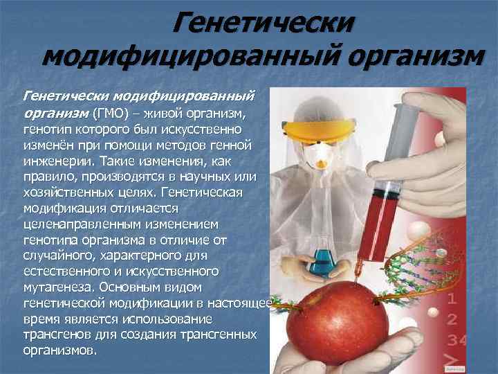 Презентация генетически модифицированные организмы