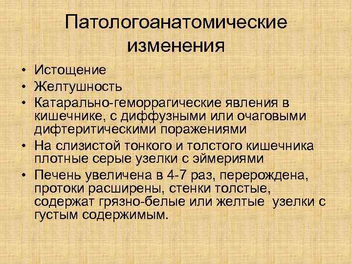  Патологоанатомические   изменения • Истощение • Желтушность • Катарально-геморрагические явления в 