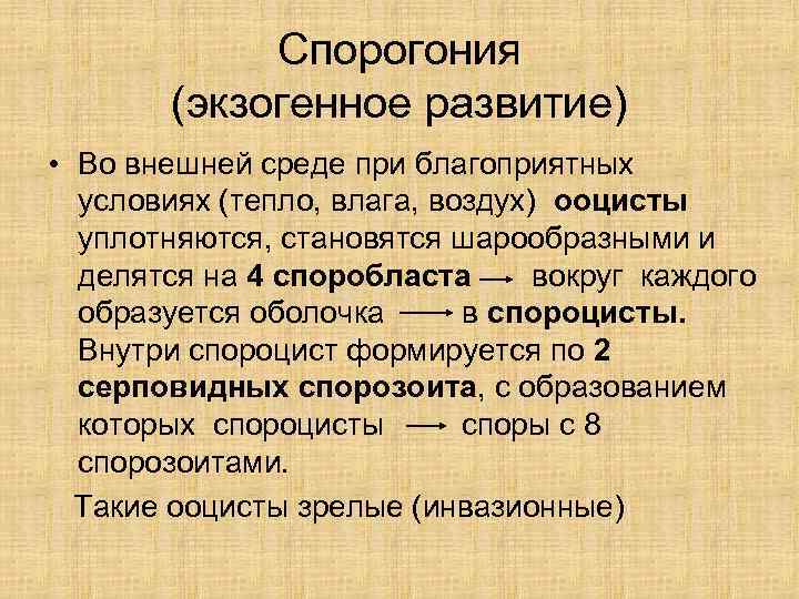    Спорогония   (экзогенное развитие) • Во внешней среде при благоприятных