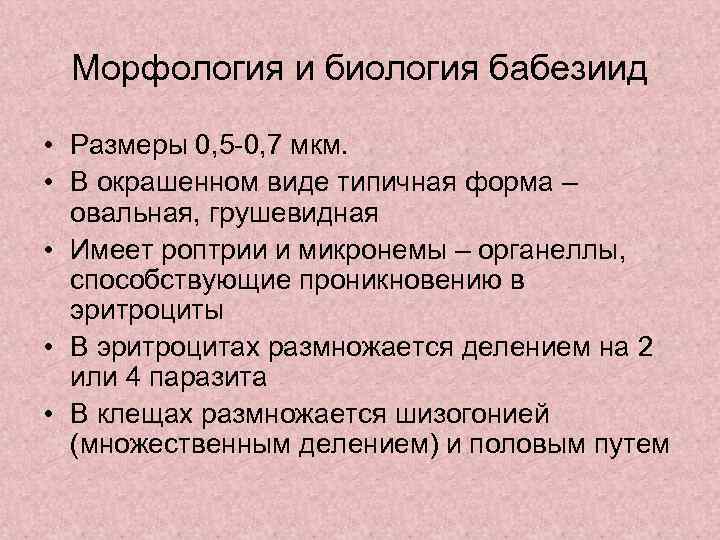  Морфология и биология бабезиид  • Размеры 0, 5 -0, 7 мкм. 