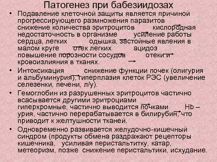    Патогенез при бабезиидозах • Подавление клеточной защиты является причиной  прогрессирующего