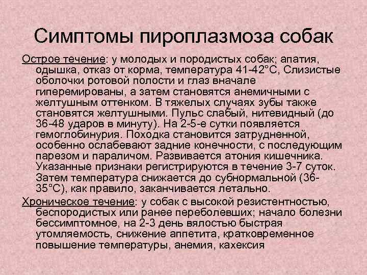  Симптомы пироплазмоза собак Острое течение: у молодых и породистых собак; апатия,  одышка,