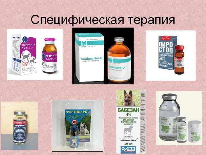 Специфическая терапия 