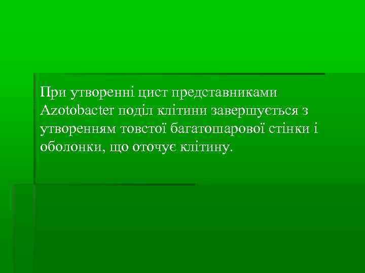 При утворенні цист представниками Azotobacter поділ клітини завершується з утворенням товстої багатошарової стінки і