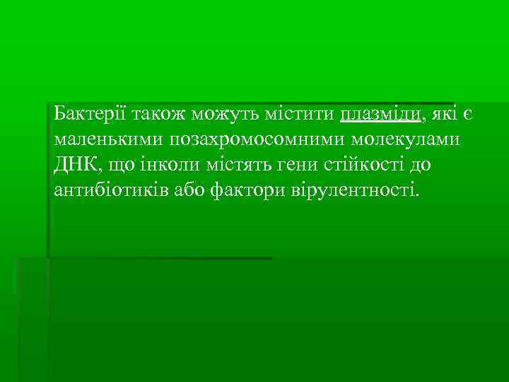 Бактерії також можуть містити плазміди, які є маленькими позахромосомними молекулами ДНК, що інколи містять