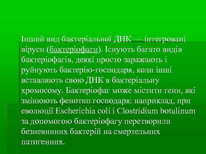 Інший вид бактеріальної ДНК — інтегровані віруси (бактеріофаги). Існують багато видів бактеріофагів, деякі просто