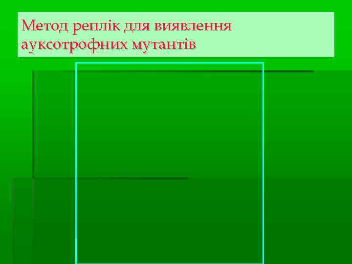 Метод реплік для виявлення ауксотрофних мутантів 