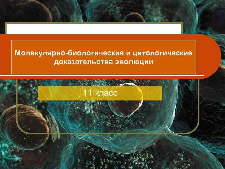 Молекулярно-биологические и цитологические   доказательства эволюции    11 класс 