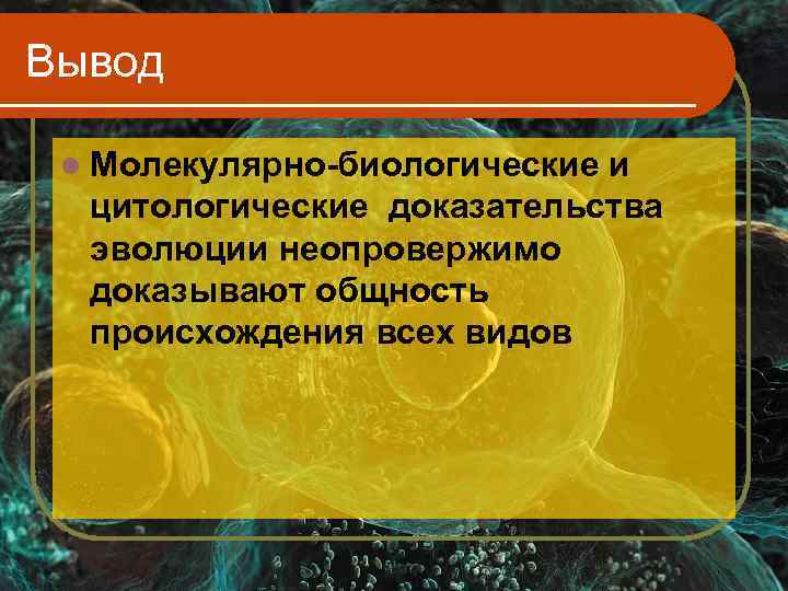Вывод  l Молекулярно-биологическиеи  цитологические доказательства  эволюции неопровержимо  доказывают общность 