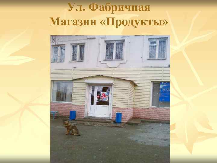 Ул. Фабричная Магазин «Продукты» 
