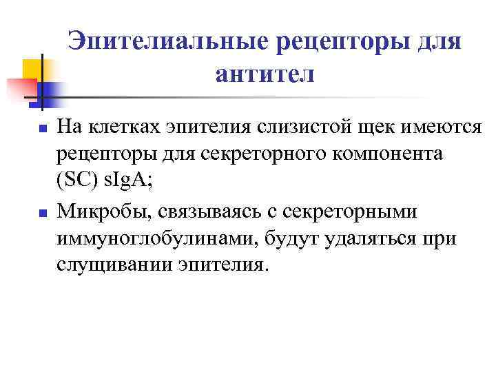  Эпителиальные рецепторы для    антител n  На клетках эпителия слизистой