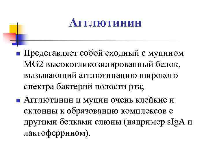    Агглютинин n  Представляет собой сходный с муцином MG 2 высокогликозилированный