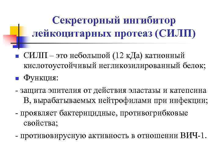   Секреторный ингибитор лейкоцитарных протеаз (СИЛП) n СИЛП – это небольшой (12 к.