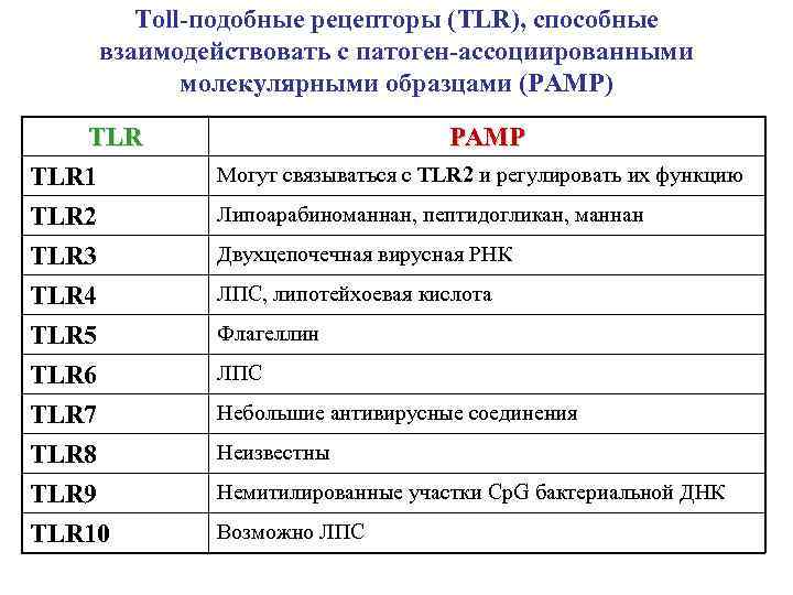   Toll-подобные рецепторы (TLR), способные взаимодействовать с патоген-ассоциированными  молекулярными образцами (PAMP) TLR