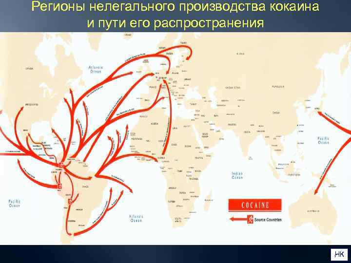 Регионы нелегального производства кокаина   и пути его распространения    