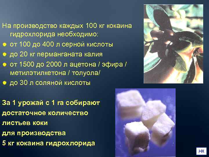 На производство каждых 100 кг кокаина  гидрохлорида необходимо: ® от 100 до 400