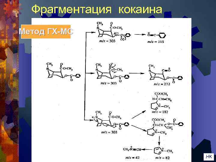  Фрагментация кокаина Метод ГХ-МС      НК 