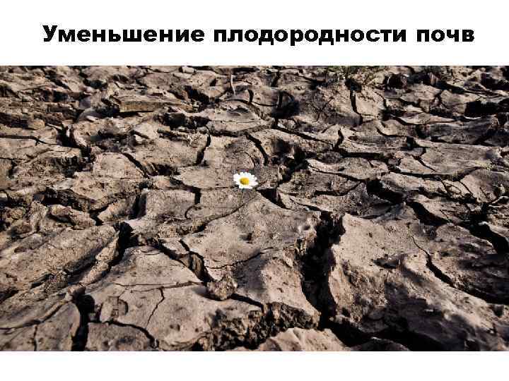 Уменьшение плодородности почв 
