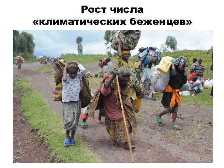 Рост числа «климатических беженцев» 