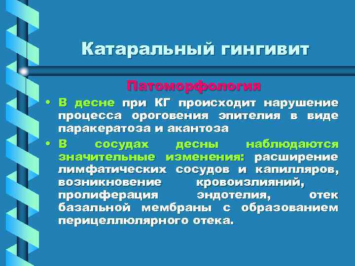   Катаральный гингивит   Патоморфология • В десне при КГ происходит нарушение