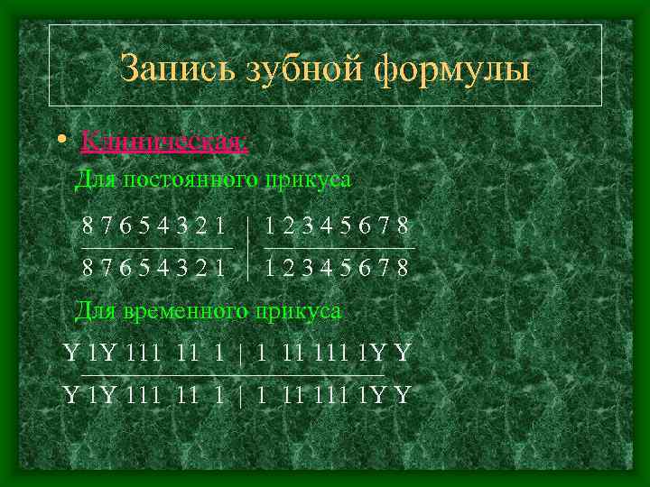   Запись зубной формулы • Клиническая:  Для постоянного прикуса 87654321 | 12345678