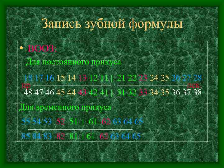  Запись зубной формулы • ВООЗ:  Для постоянного прикуса 18 17 16 15