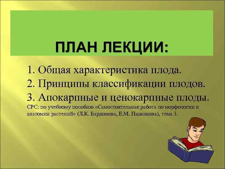    ПЛАН ЛЕКЦИИ: 1. Общая характеристика плода. 2. Принципы классификации плодов. 3.