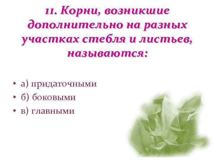  11. Корни, возникшие  дополнительно на разных участках стебля и листьев,  называются: