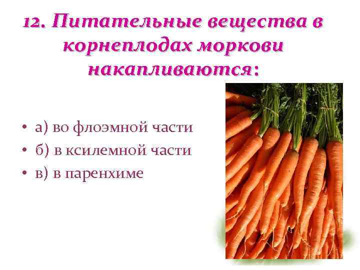 В пресной воде морковь что произойдет. Питательные вещества в моркови. Питательные вещества в морковке. Питательные вещества содержащиеся в моркови. Корнеплоды морковь питательное вещество откладывается в.