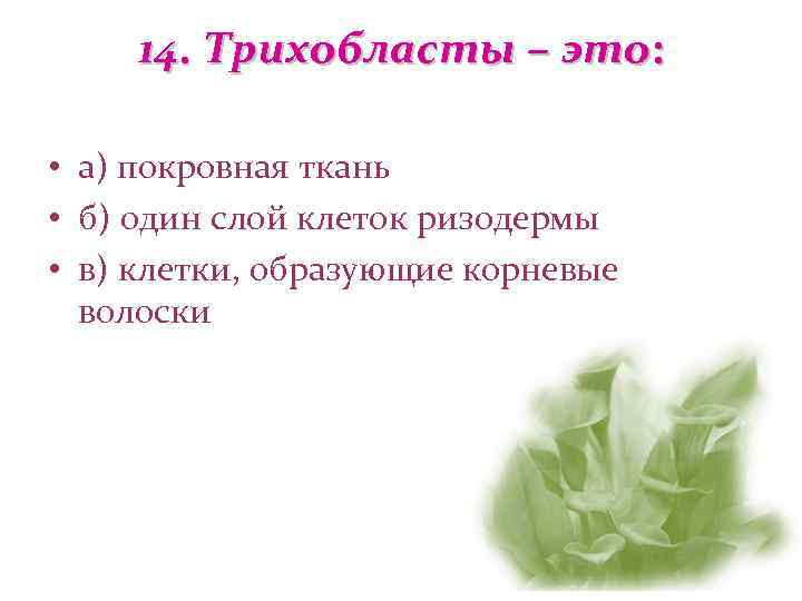 14. Трихобласты – это:  • а) покровная ткань • б) один слой