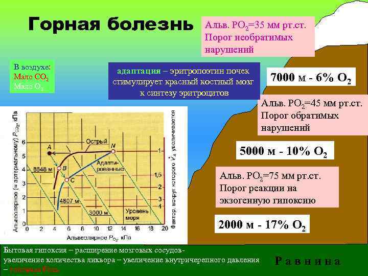 Горная болезнь В воздухе: Мало СО 2 Мало О 2 Альв. РО 2=35 мм