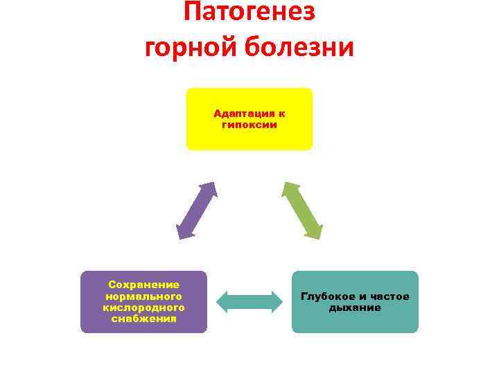 Патогенез горной болезни Адаптация к гипоксии Сохранение нормального кислородного снабжения Глубокое и частое дыхание