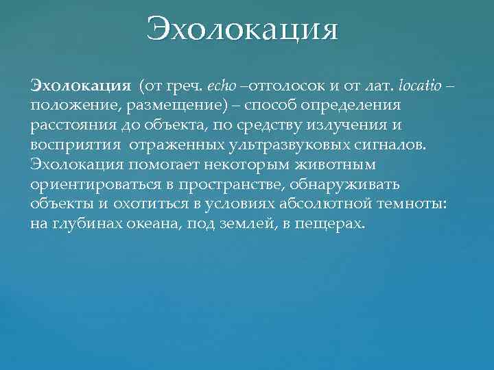 Эхолокация (от греч. еcho –отголосок и от лат. locatio – положение, размещение) – способ