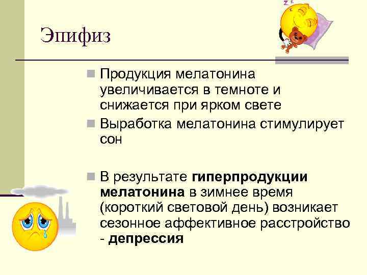 Эпифиз  n Продукция мелатонина увеличивается в темноте и снижается при ярком свете 