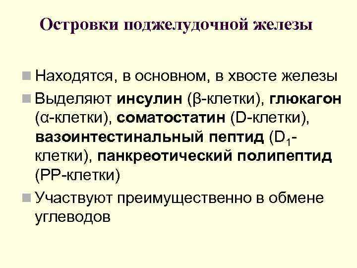  Островки поджелудочной железы n Находятся, в основном, в хвосте железы n Выделяют инсулин
