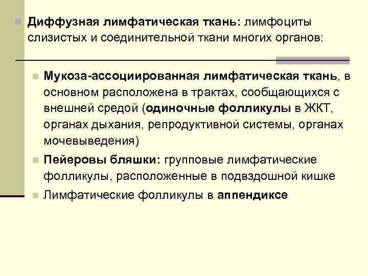 n Диффузная лимфатическая ткань: лимфоциты слизистых и соединительной ткани многих органов: n  Мукоза-ассоциированная