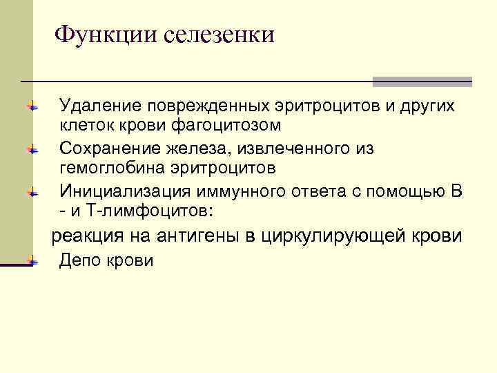 Функции селезенки Удаление поврежденных эритроцитов и других клеток крови фагоцитозом Сохранение железа, извлеченного из