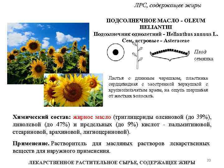 ЛРС, содержащее жиры ПОДСОЛНЕЧНОЕ МАСЛО - OLEUM HELIANTHI Подсолнечник однолетний - Helianthus annuus L.