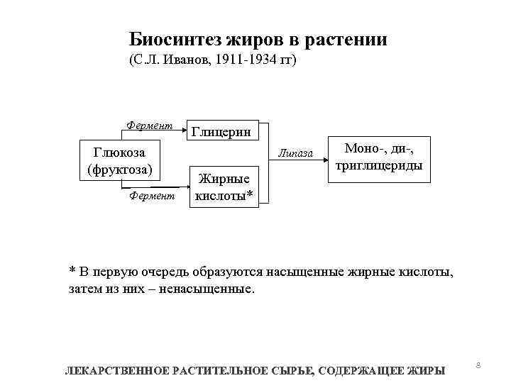 Биосинтез жиров в растении (С. Л. Иванов, 1911 -1934 гг) Фермент Глюкоза (фруктоза) Фермент