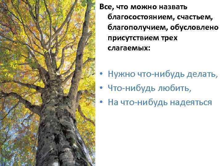 Все, что можно назвать благосостоянием, счастьем, благополучием, обусловлено присутствием трех слагаемых: • Нужно что-нибудь