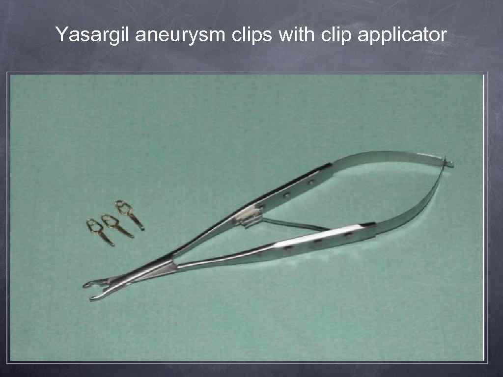 Yasargil aneurysm clips with clip applicator 