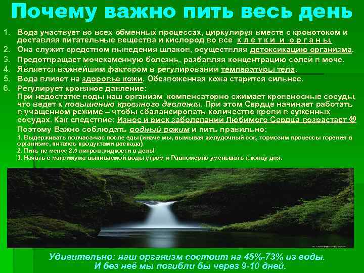 Почему важно пить весь день 1. Вода участвует во всех обменных процессах, циркулируя вместе