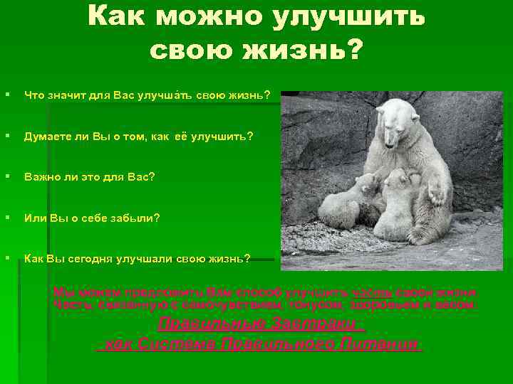 Как можно улучшить свою жизнь? § Что значит для Вас улучшáть свою жизнь? §