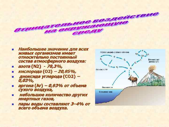 n Наибольшее значение для всех живых организмов имеет относительно постоянный состав атмосферного воздуха: n Наибольшее значение для всех живых организмов имеет относительно постоянный состав атмосферного воздуха: