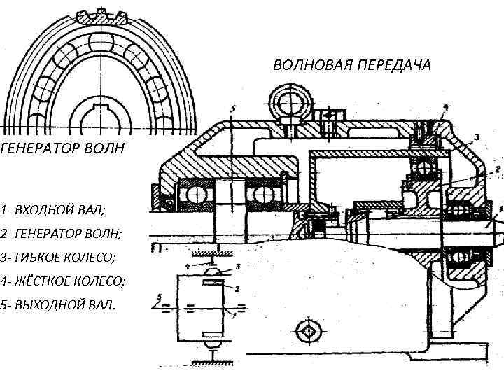 ГЕНЕРАТОР ВОЛН 1 - ВХОДНОЙ ВАЛ; 2 - ГЕНЕРАТОР ВОЛН; 3 - ГИБКОЕ КОЛЕСО;