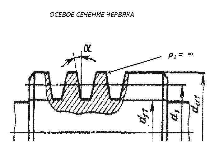 ОСЕВОЕ СЕЧЕНИЕ ЧЕРВЯКА ρ1 = ∞ 