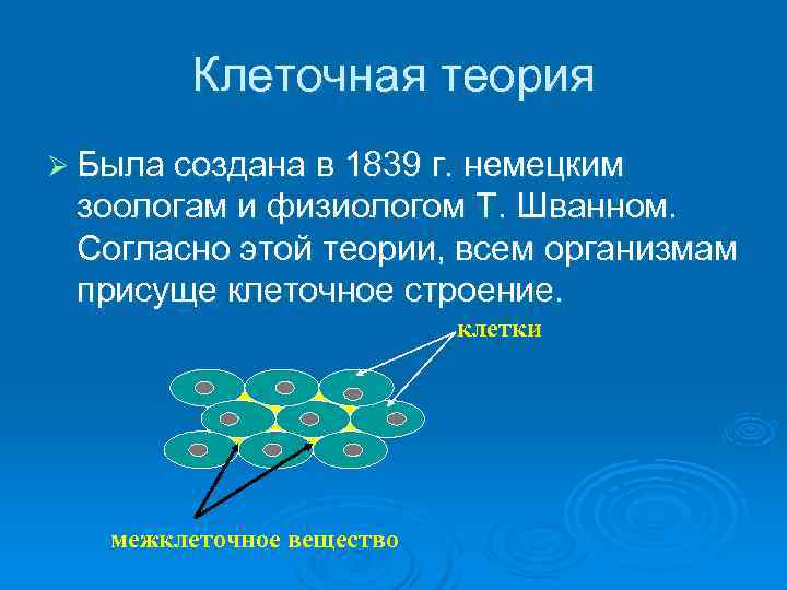   Клеточная теория Ø Была создана в 1839 г. немецким зоологам и физиологом