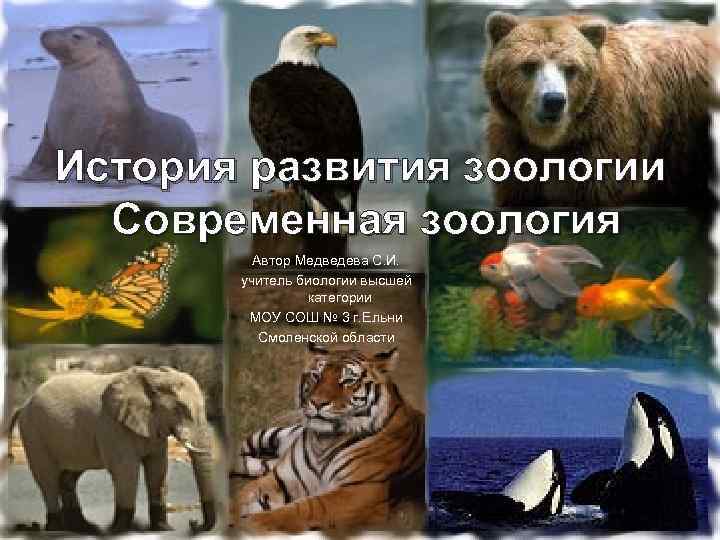 История развития зоологии  Современная зоология   Автор Медведева С. И.  
